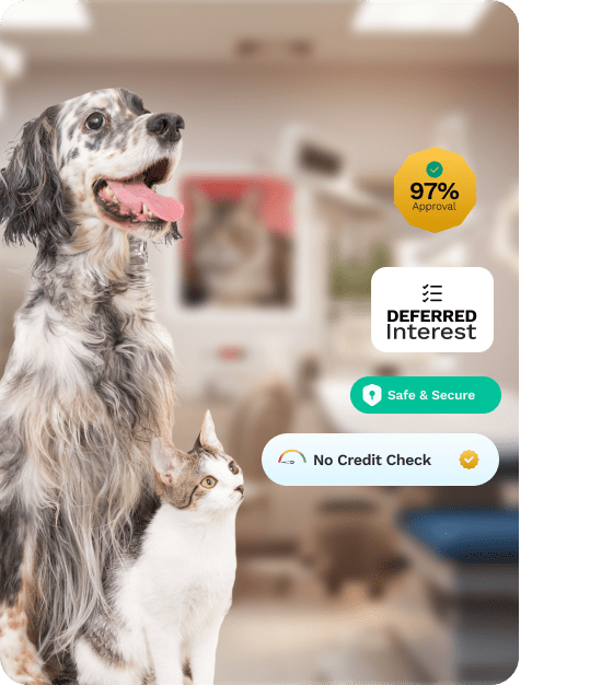 Payment Solution For Veterinary Practices