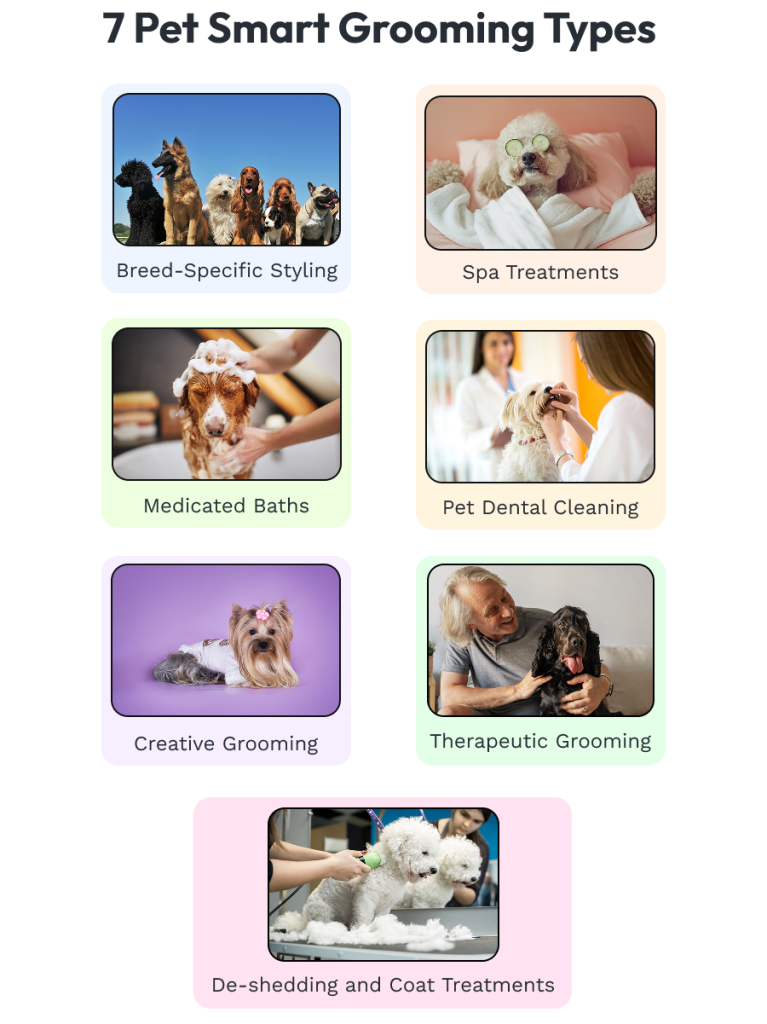 7 Pet Smart Grooming Types